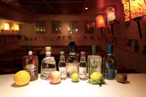 Källerabstieg 2016: Gin-Bar